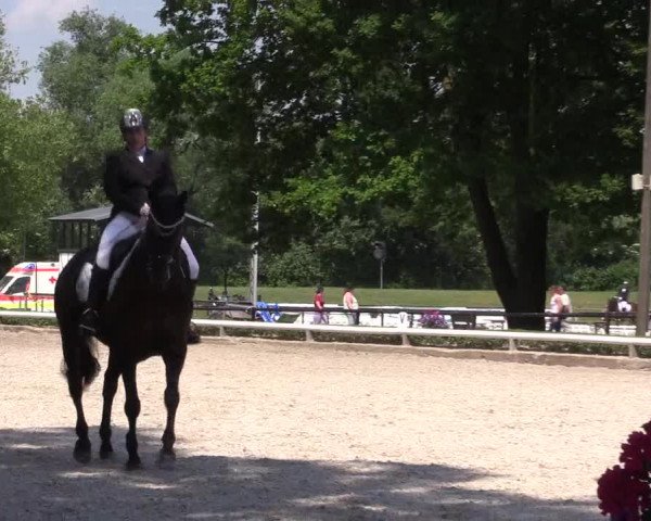 Reitturnier Hamm-Rhynern 2023