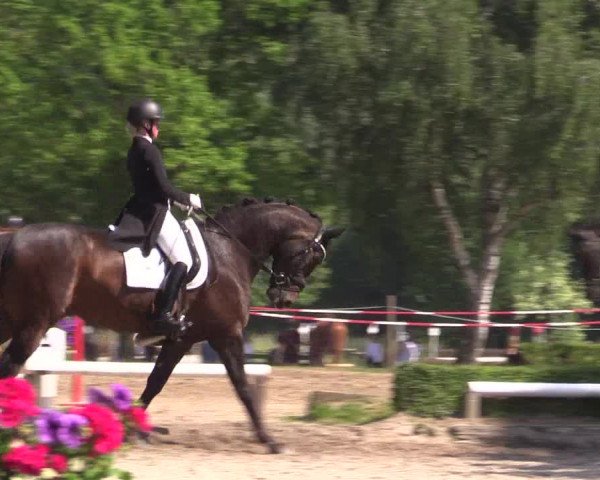 Reitturnier Hamm-Rhynern 2023