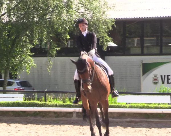 Reitturnier Hamm-Rhynern 2023