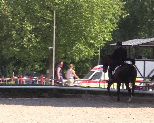 Reitturnier Hamm-Rhynern 2023