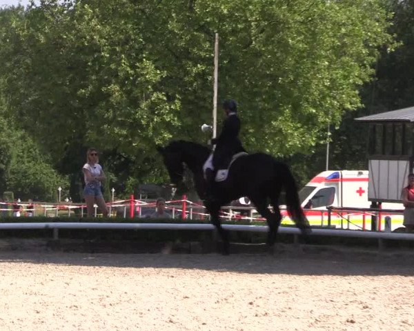 Reitturnier Hamm-Rhynern 2023