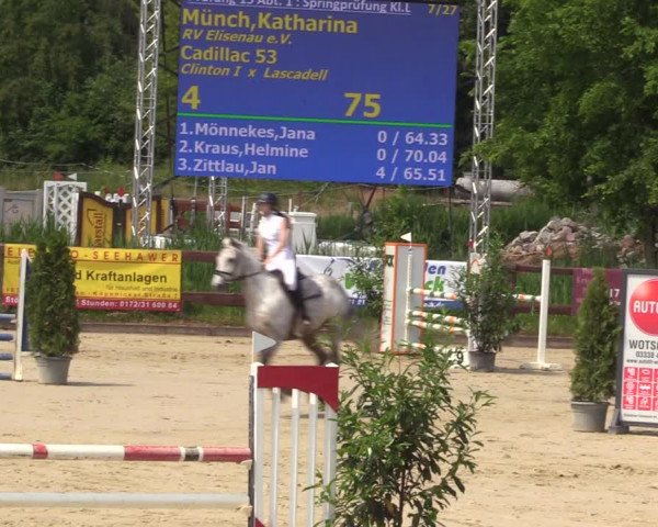 Reitturnier Schönfeld 2023
