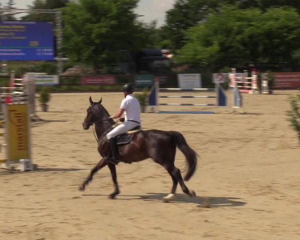 Reitturnier Schönfeld 2023