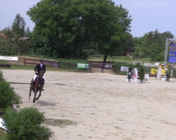 Reitturnier Schönfeld 2023