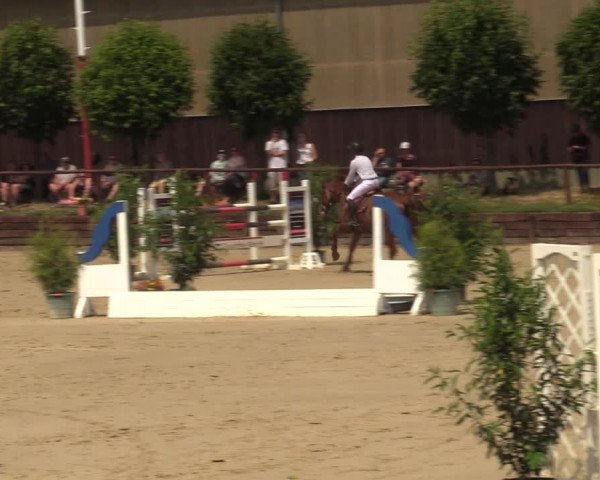 Reitturnier Schönfeld 2023