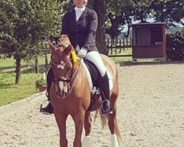 Cathleen Gutgesell