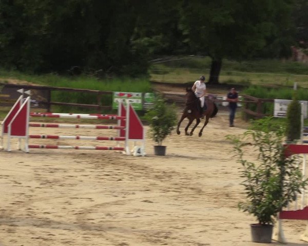 Reitturnier Schönfeld 2023