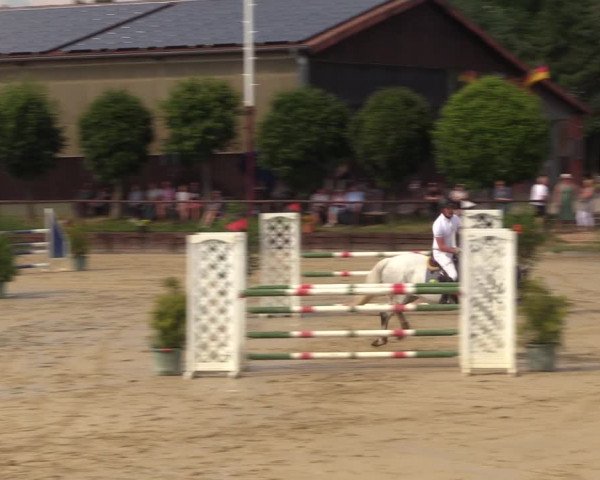 Reitturnier Schönfeld 2023
