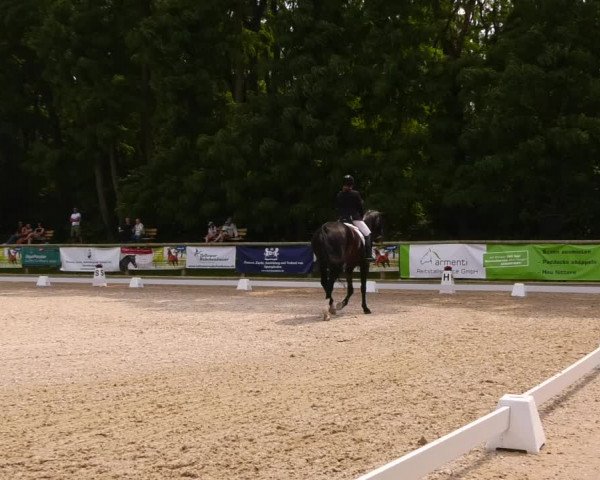 Reitturnier Ruhlsdorf 2023