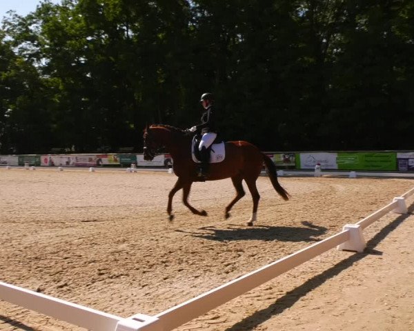 Reitturnier Ruhlsdorf 2023