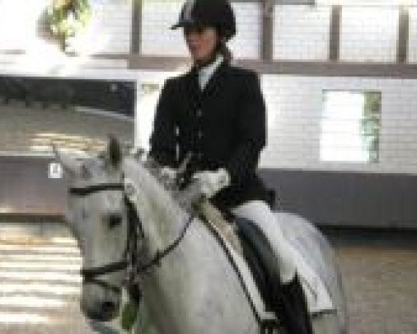 Christina Eckhardt