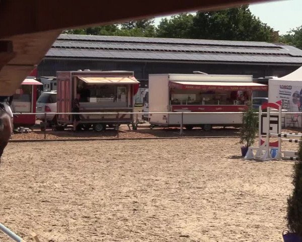 Reitturnier Großenwiehe 2023