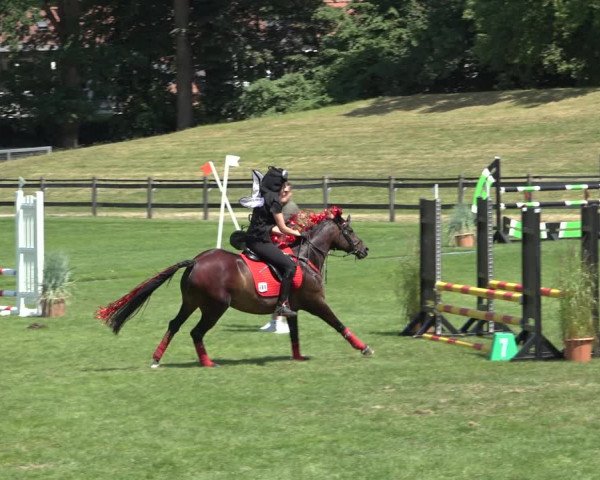 Reitturnier Derbypark Hamburg Klein-Flottbek 2023
