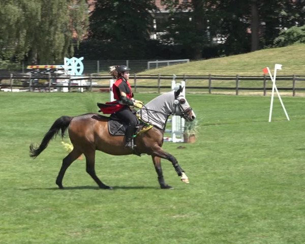 Reitturnier Derbypark Hamburg Klein-Flottbek 2023