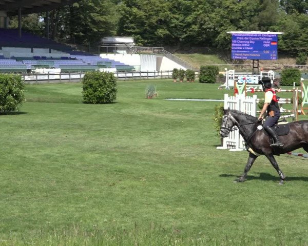 Reitturnier Derbypark Hamburg Klein-Flottbek 2023
