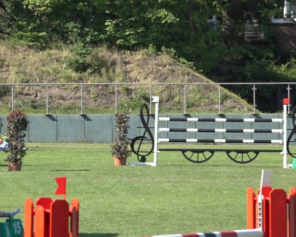 Reitturnier Derbypark Hamburg Klein-Flottbek 2023