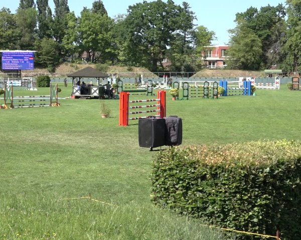 Reitturnier Derbypark Hamburg Klein-Flottbek 2023