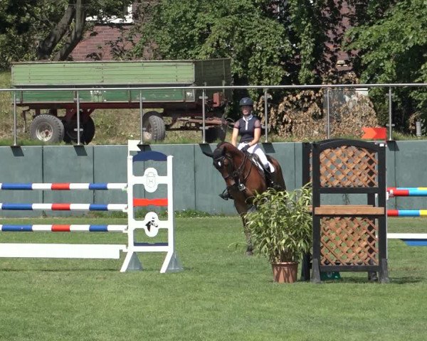 Reitturnier Derbypark Hamburg Klein-Flottbek 2023