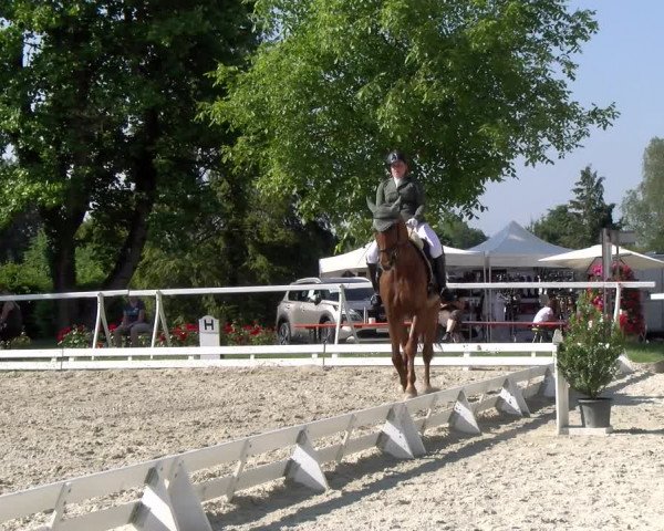 Reitturnier Avenches 2023