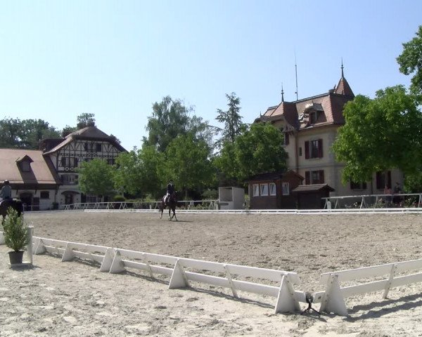 Reitturnier Avenches 2023