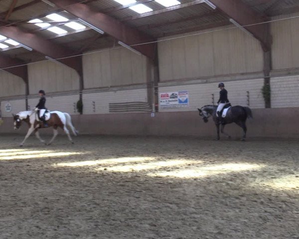 Reitturnier Dortmund-Somborn 2023