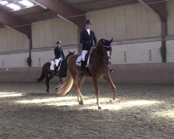 Reitturnier Dortmund-Somborn 2023