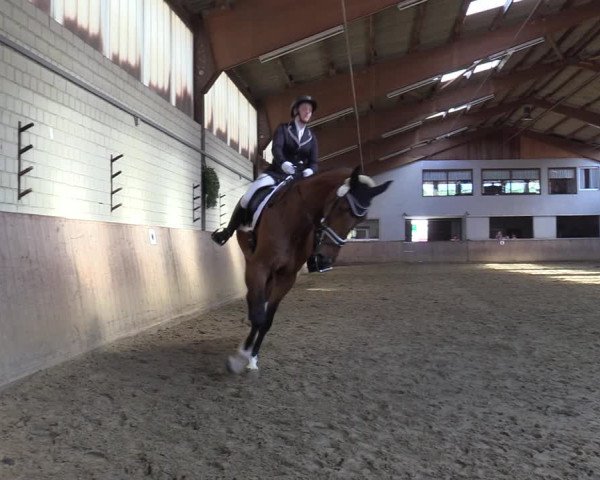 Reitturnier Dortmund-Somborn 2023