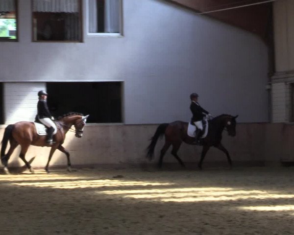 Reitturnier Dortmund-Somborn 2023