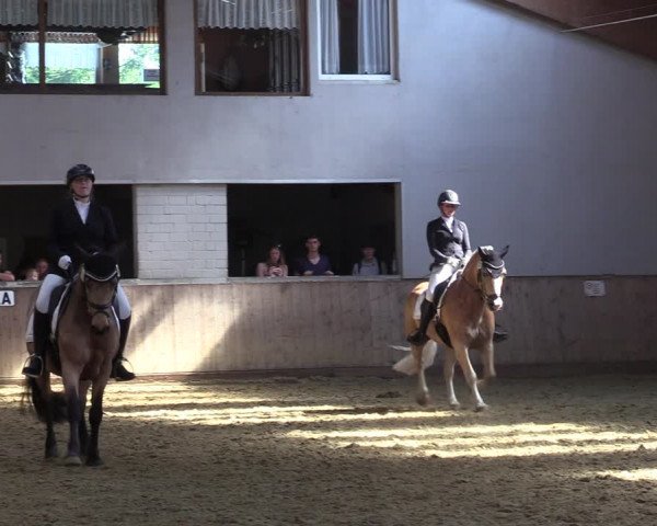 Reitturnier Dortmund-Somborn 2023