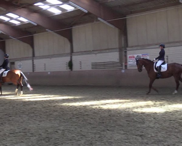 Reitturnier Dortmund-Somborn 2023
