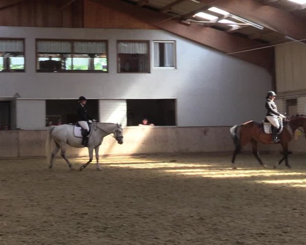 Reitturnier Dortmund-Somborn 2023