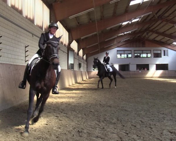 Reitturnier Dortmund-Somborn 2023