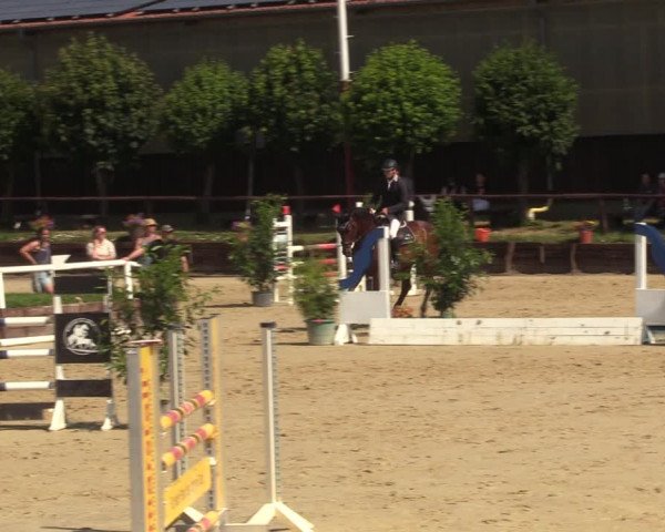 Reitturnier Schönfeld 2023