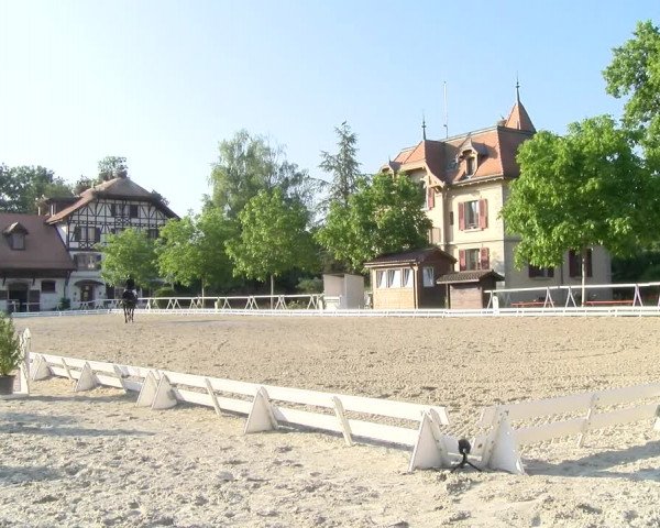 Reitturnier Avenches 2023