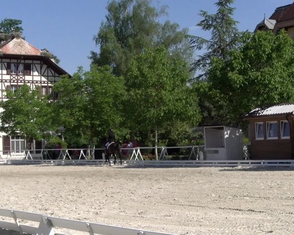 Reitturnier Avenches 2023