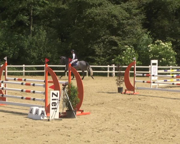 Reitturnier Nordstetten- Horb 2023