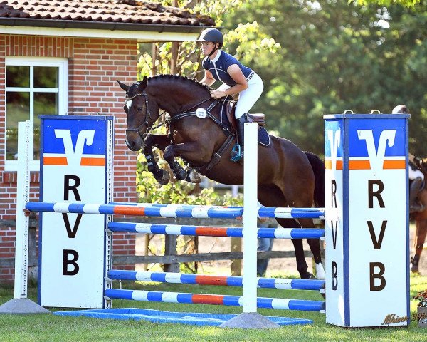 jumper Captain Casy (Oldenburg, 2016, from Casalido) jumper Captain Casy (Oldenburg, 2016, from Casalido)