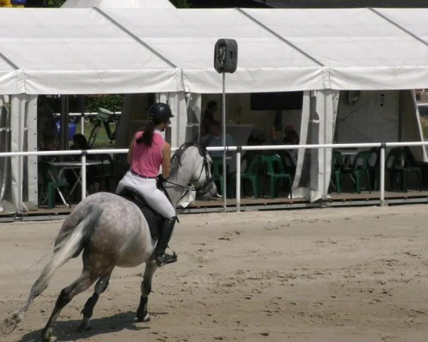 Reitturnier Ostenfelde-Vornholz 2023