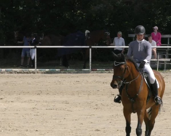 Reitturnier Ostenfelde-Vornholz 2023