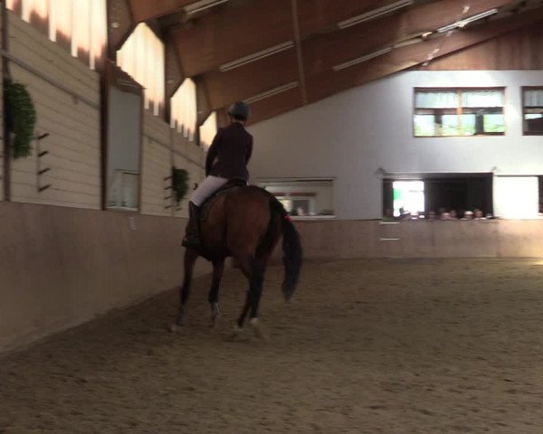 Reitturnier Dortmund-Somborn 2023