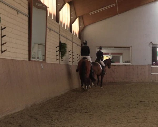 Reitturnier Dortmund-Somborn 2023