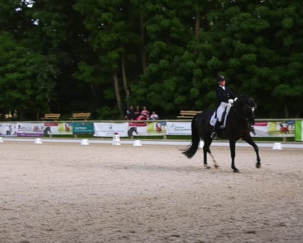 Reitturnier Ruhlsdorf 2023