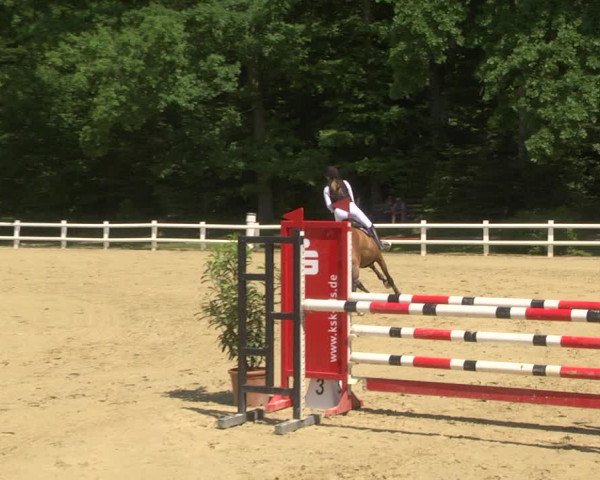 Reitturnier Nordstetten- Horb 2023