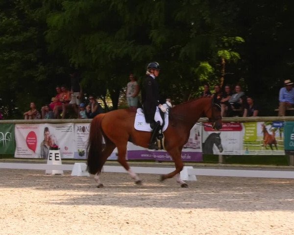 Reitturnier Ruhlsdorf 2023