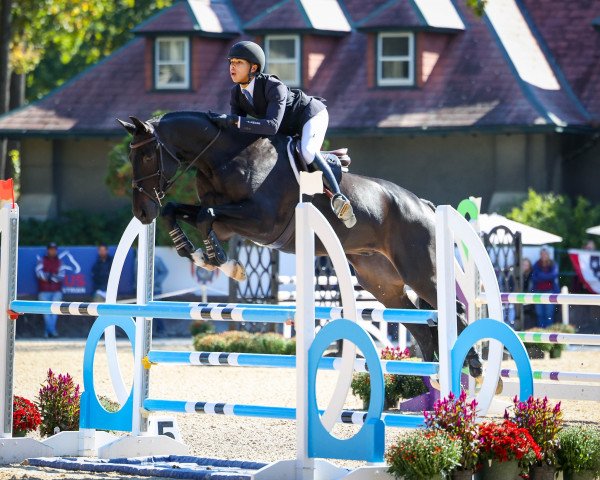 jumper Ferry van den Hoogeweg (KWPN (Royal Dutch Sporthorse), 2010, from Namelus R)