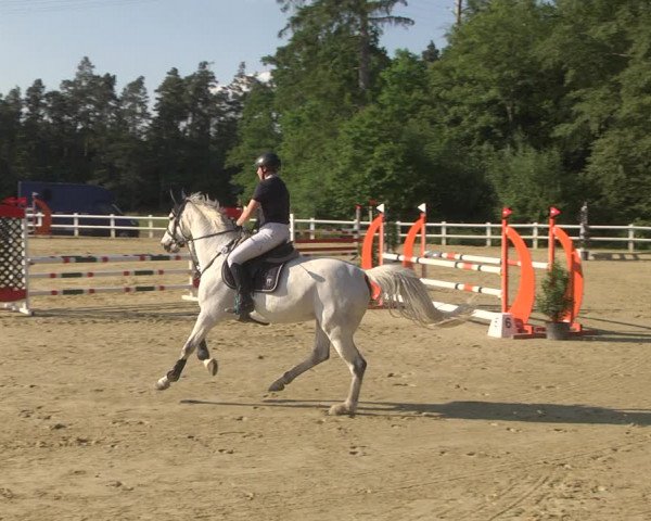 Reitturnier Nordstetten- Horb 2023