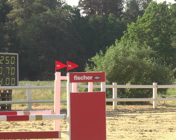 Reitturnier Nordstetten- Horb 2023