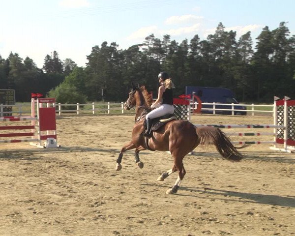 Reitturnier Nordstetten- Horb 2023