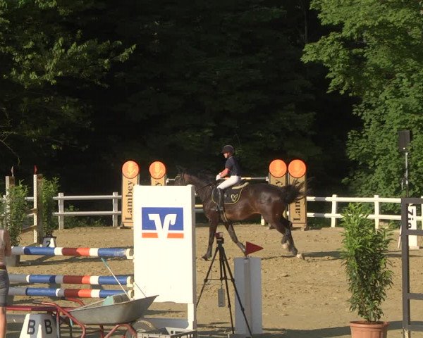 Reitturnier Nordstetten- Horb 2023
