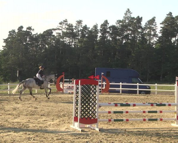 Reitturnier Nordstetten- Horb 2023